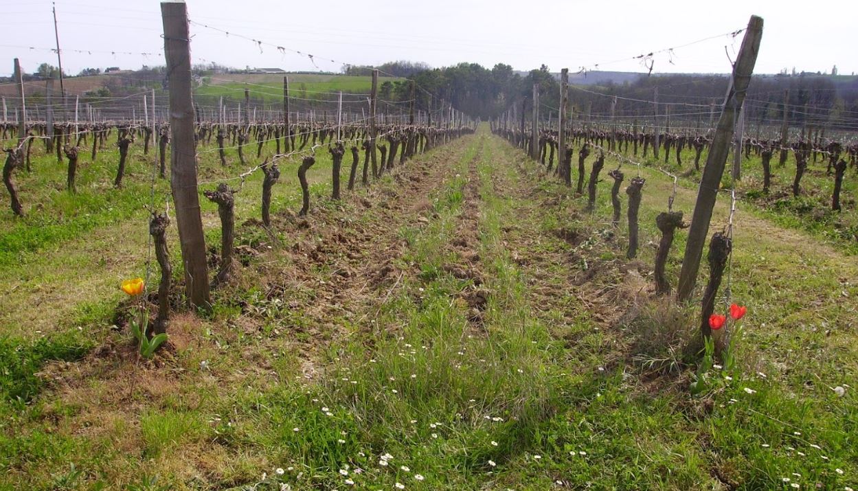 Le Bonhomme Richard - Les Cours - SARL FASY - photo 4