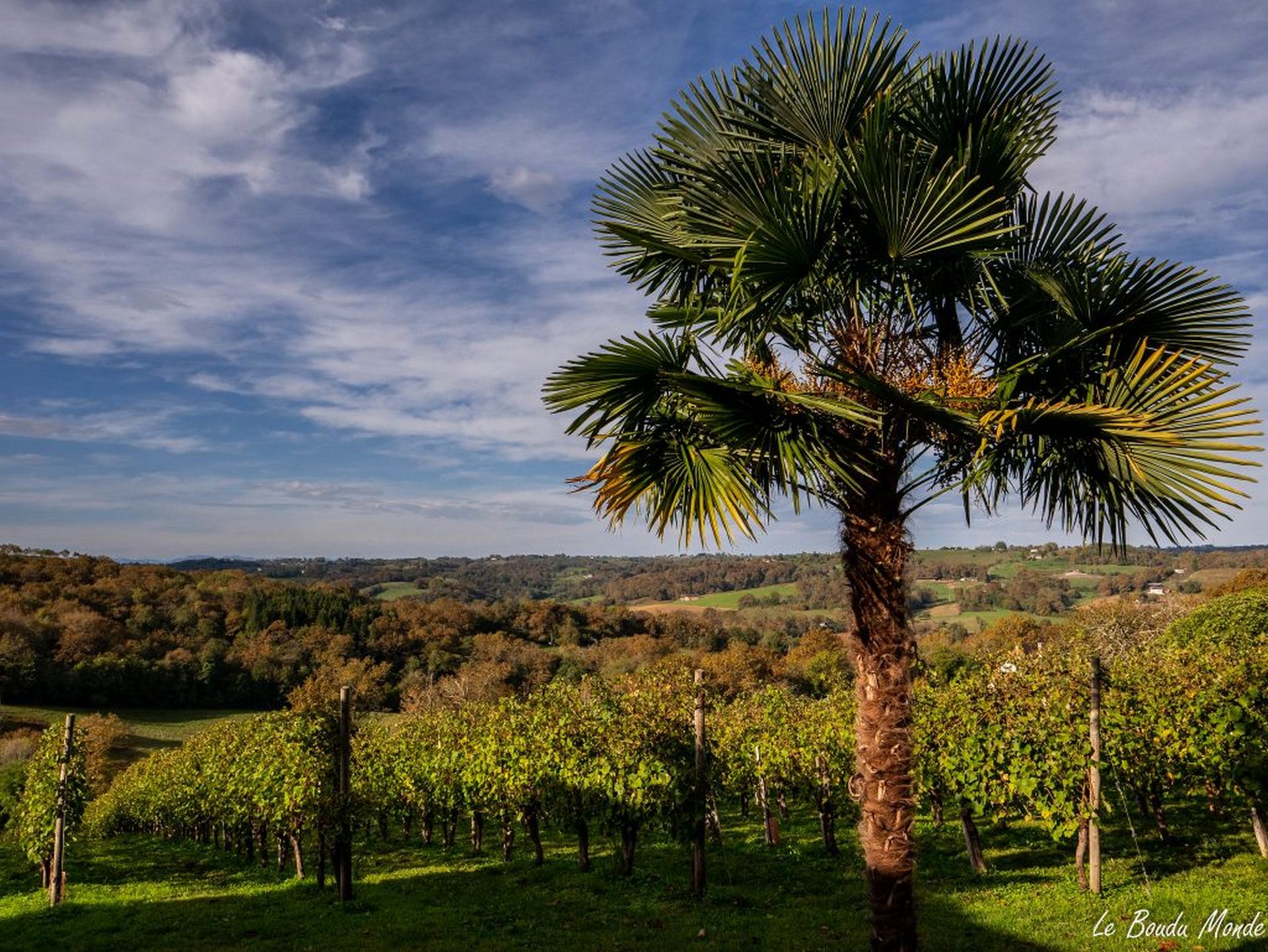 Clos Laplume - photo 3