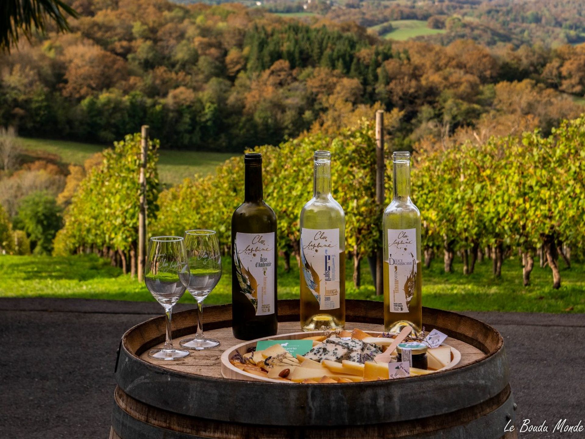 Clos Laplume - photo 4