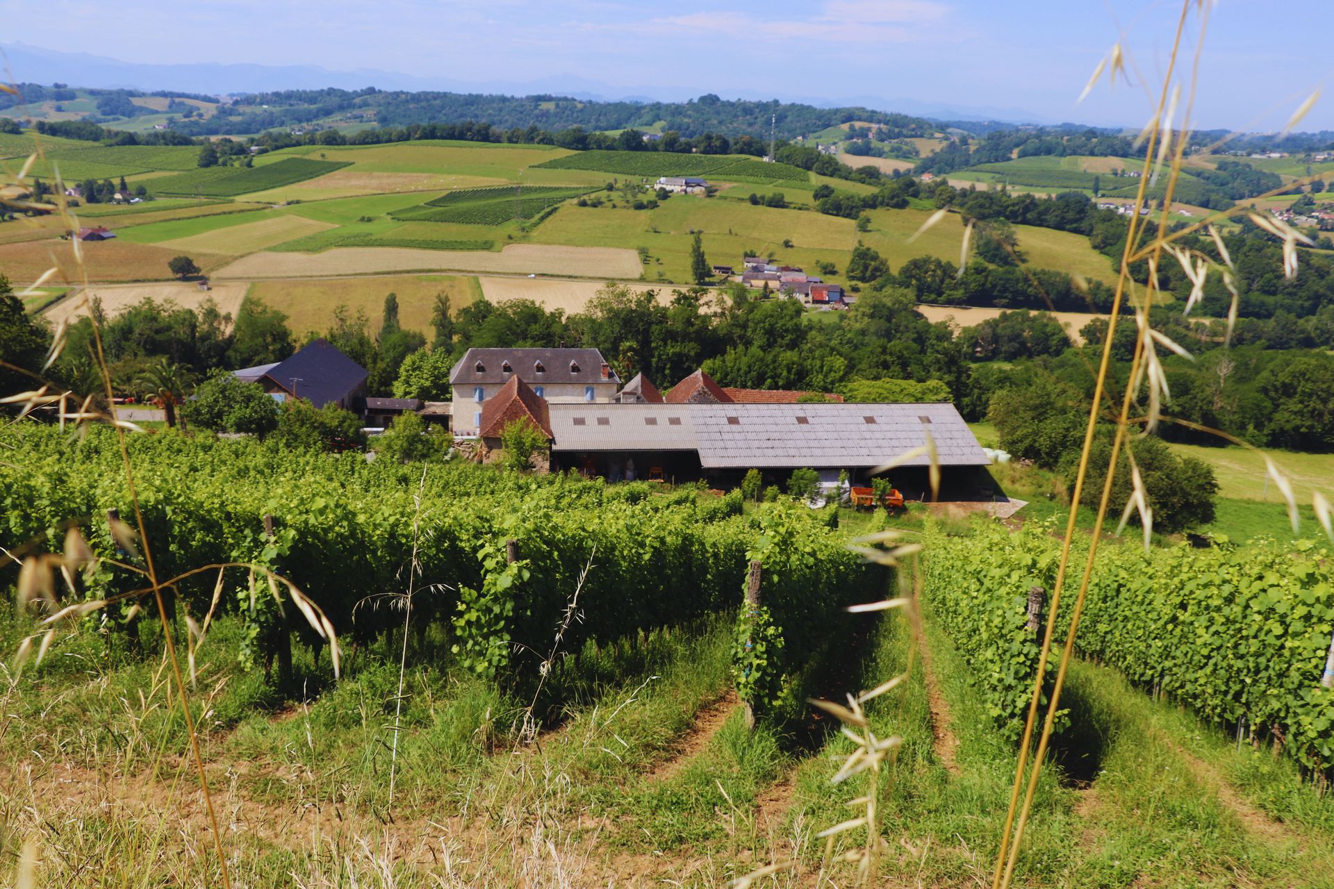 Domaine Peyrette - photo 4