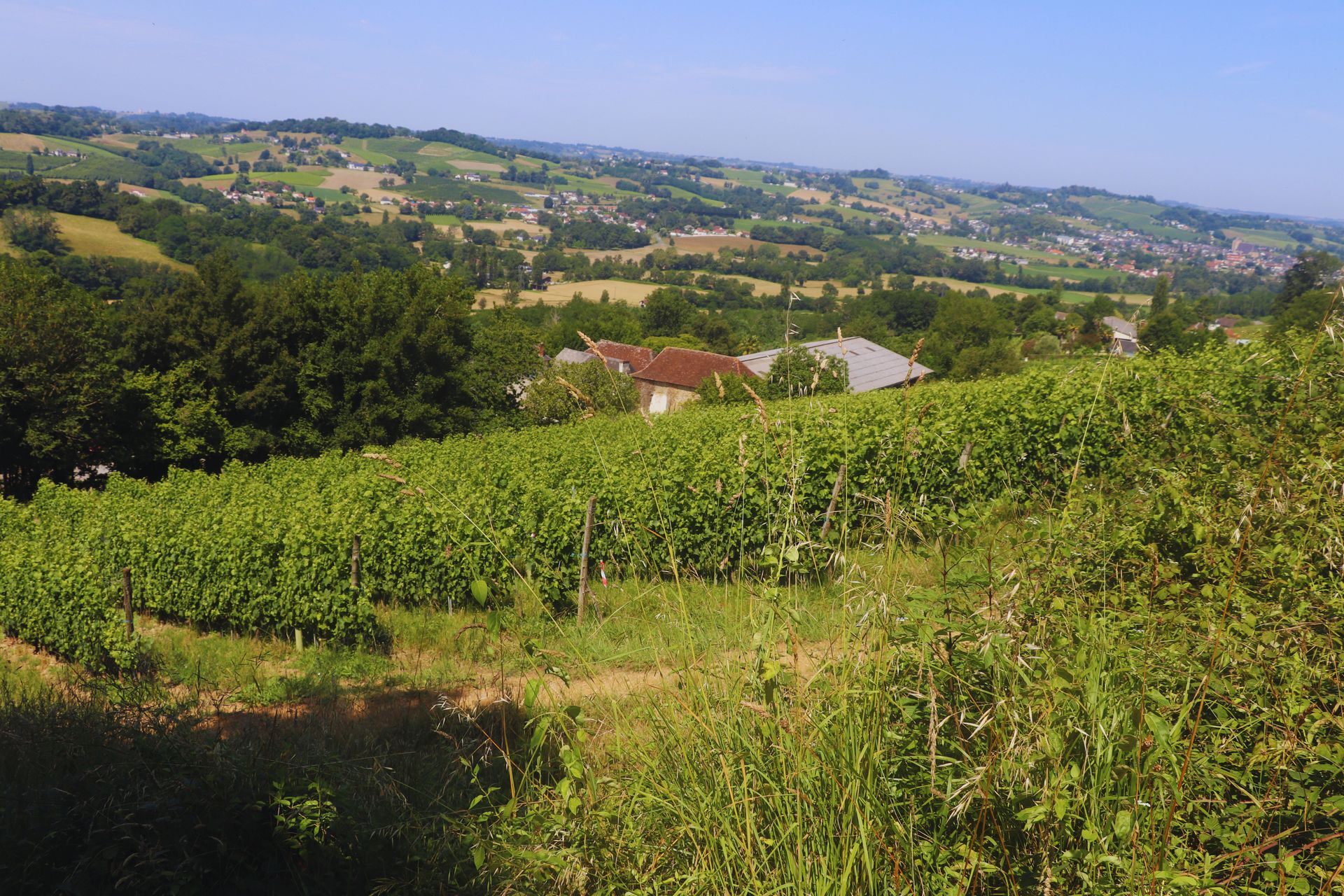 Domaine Peyrette - photo 3