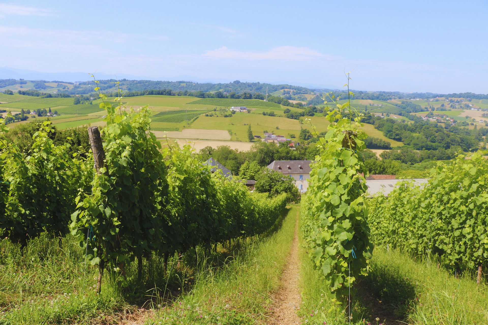 Domaine Peyrette - photo 5