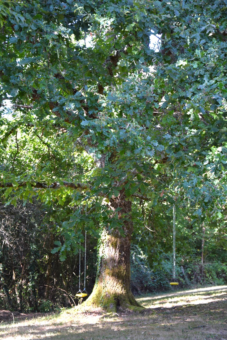 Le Chalet du Clos St Germain, Saint-Germain-du-Salembre - photo 7