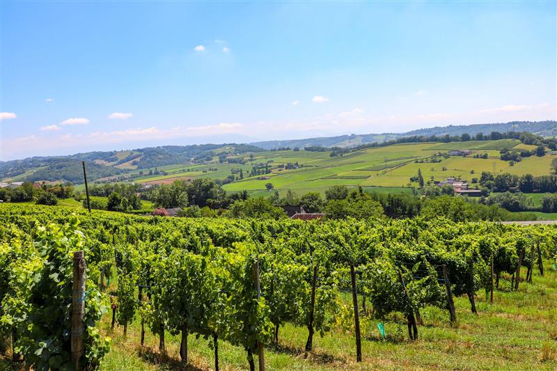 Clos Bellevue