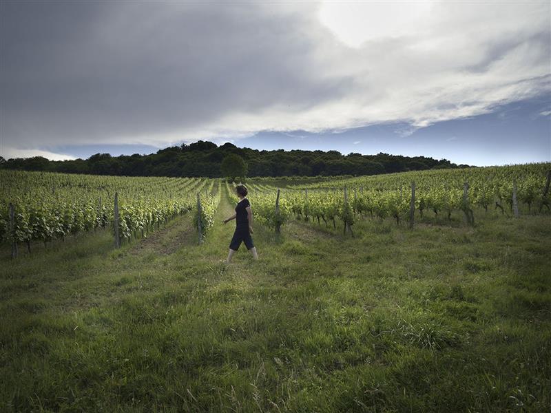 Les Mets d'Ames