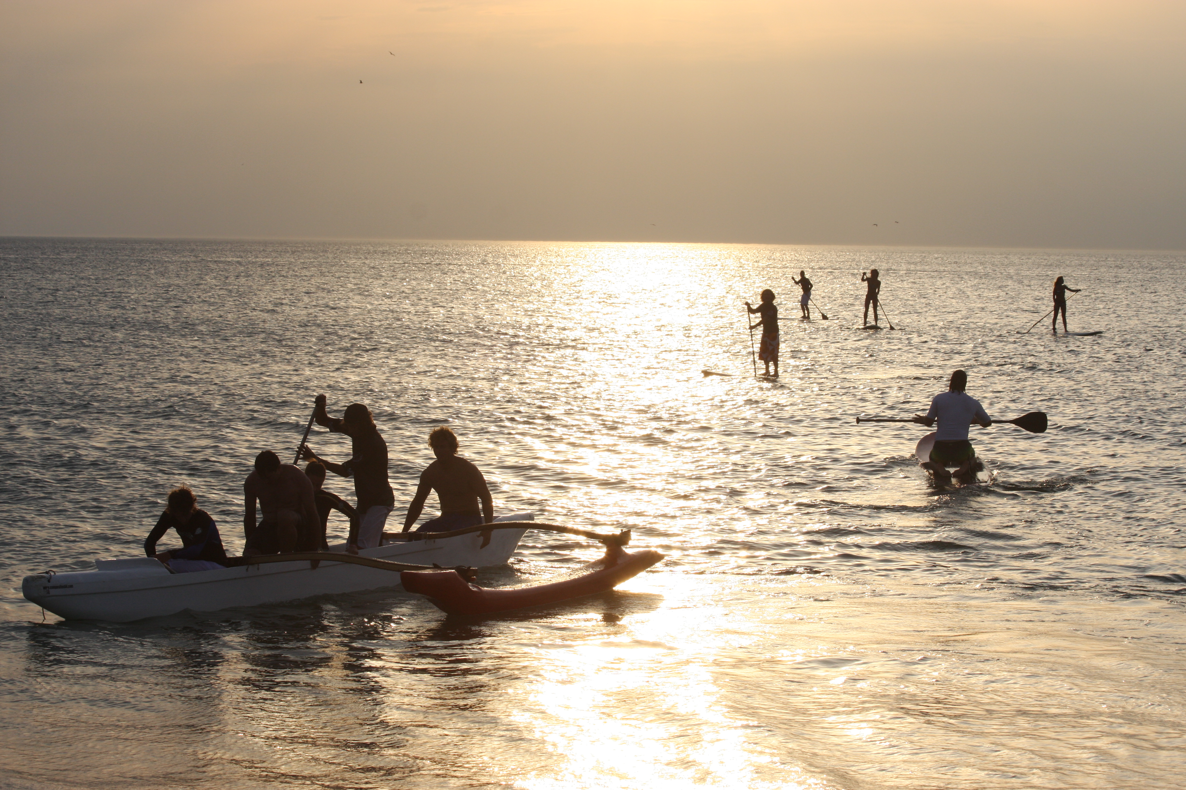 Club de plage Kiwi surf