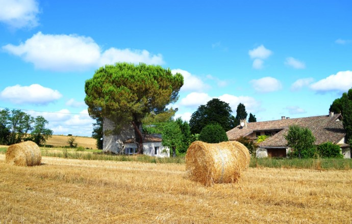 Gîte du Colombier, Montaut - photo 9