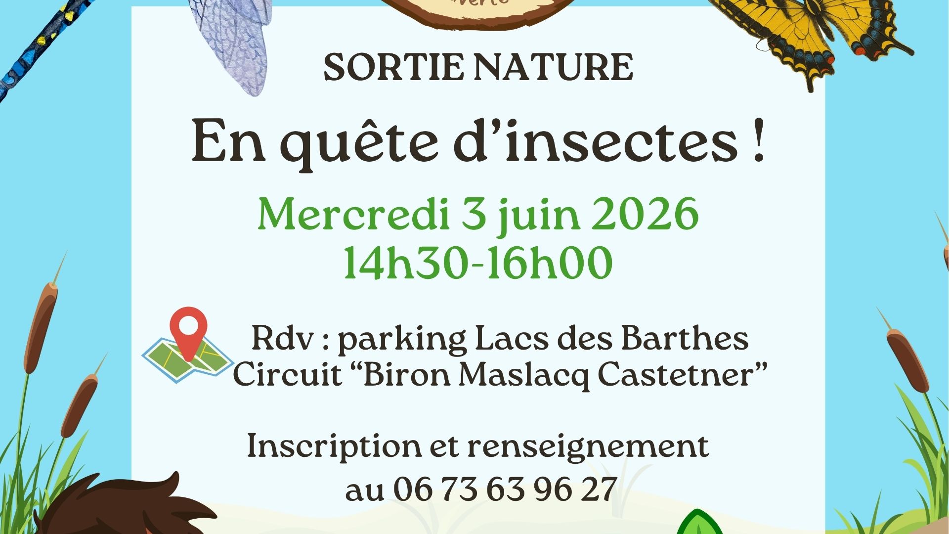 Sortie nature : Les libellules des lacs des Barthes