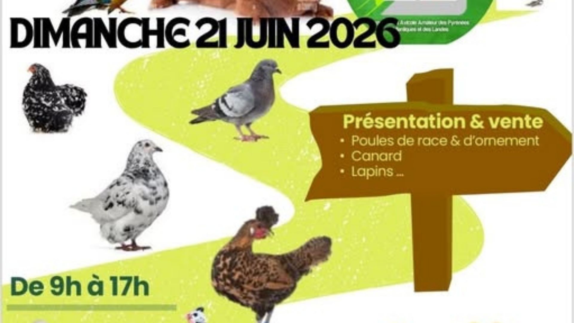Visuel évènement