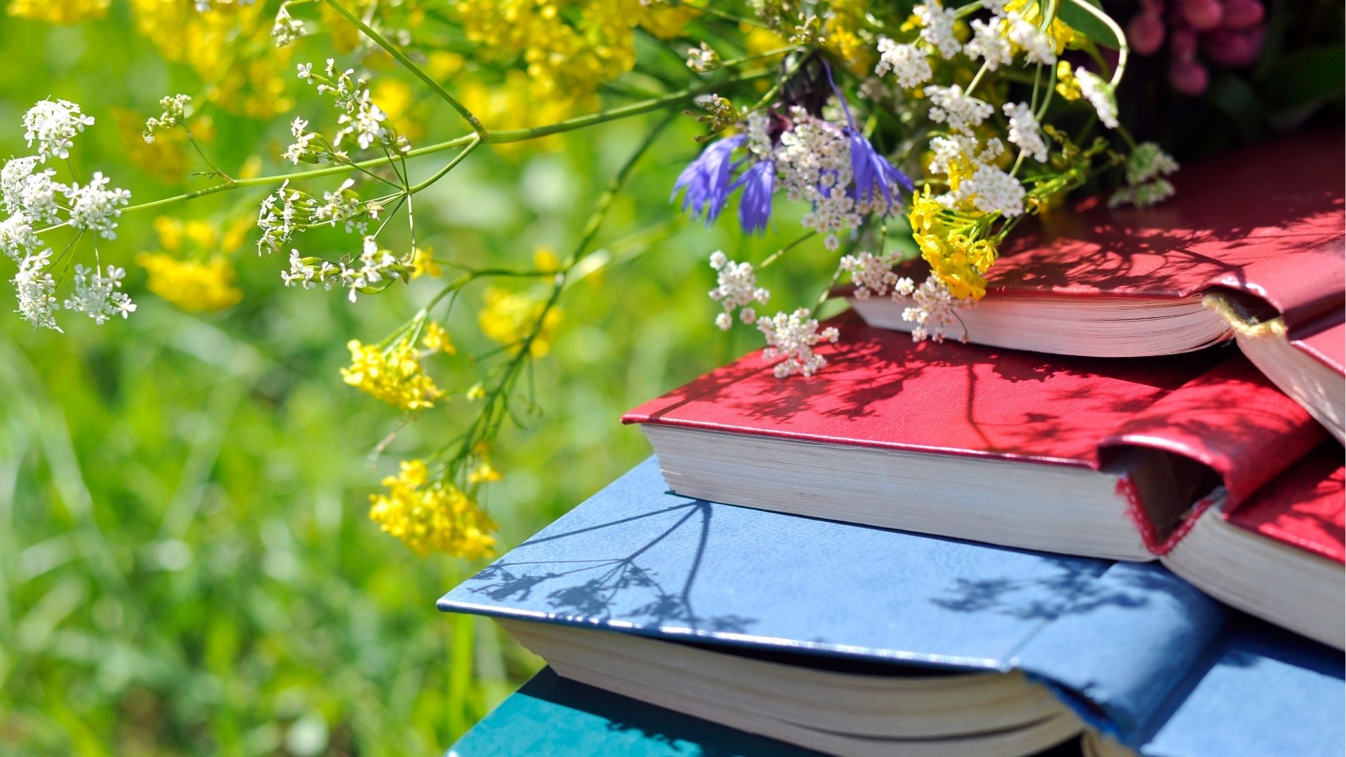 Lectures au jardin — visuel événement