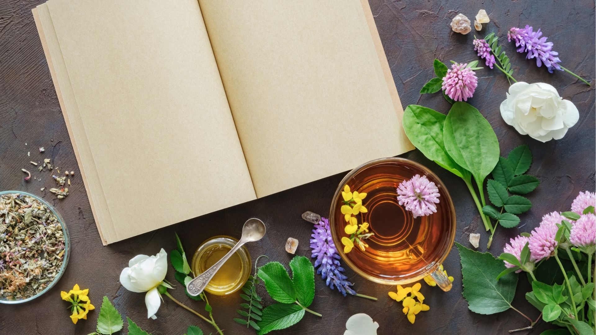 Atelier : Plantes sauvages comestibles — visuel événement