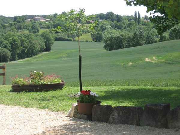 Gîte de Rouquet, Villeréal - photo 15