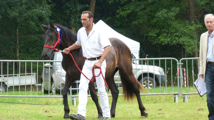 Elevage des Granges - photo 2