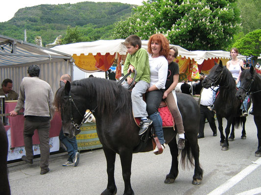 Elevage des Granges - photo 3