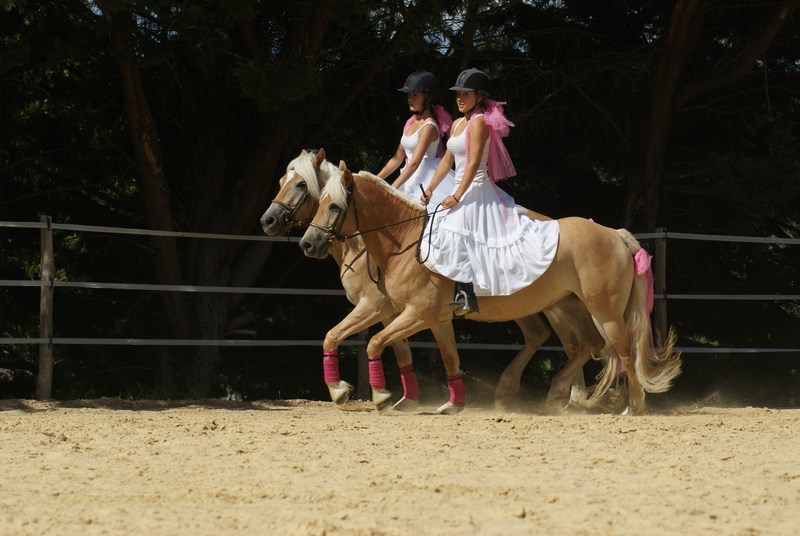 Le poney club d'Emilie