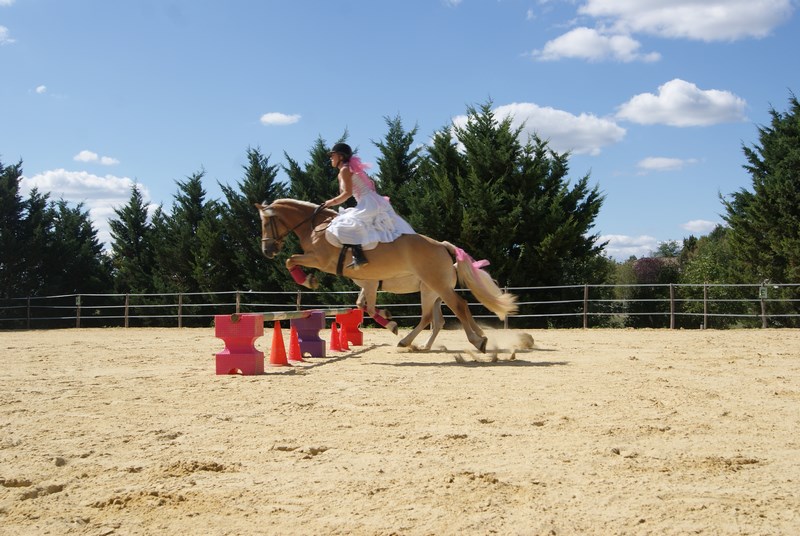 Le poney club d'Emilie