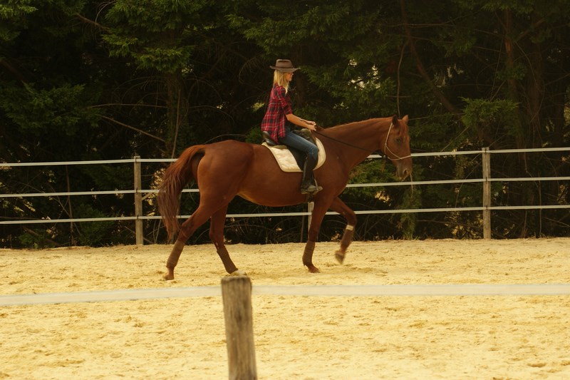 Le poney club d'Emilie - photo 5
