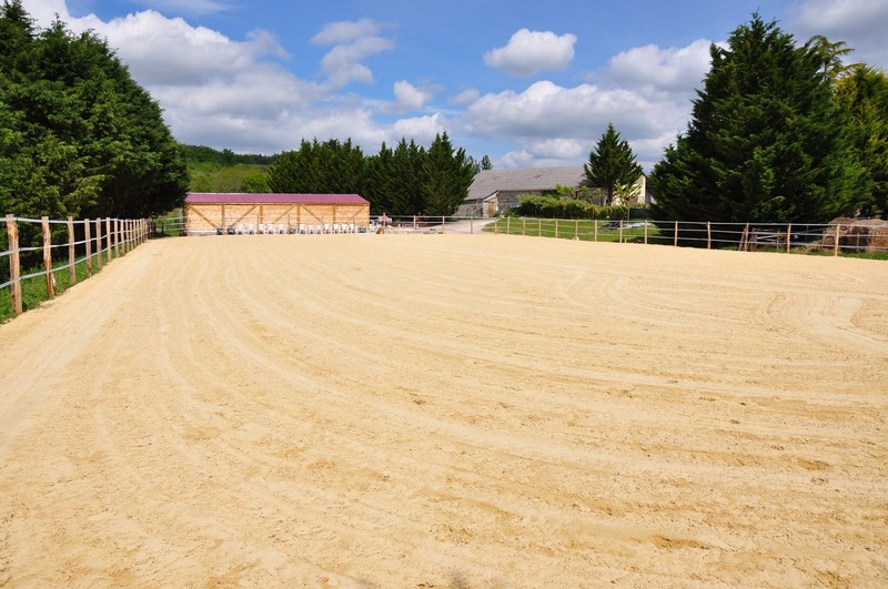 Le poney club d'Emilie - photo 2