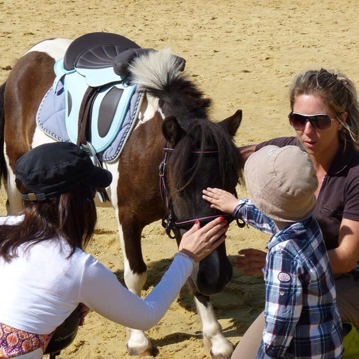 Le poney club d'Emilie - photo 4