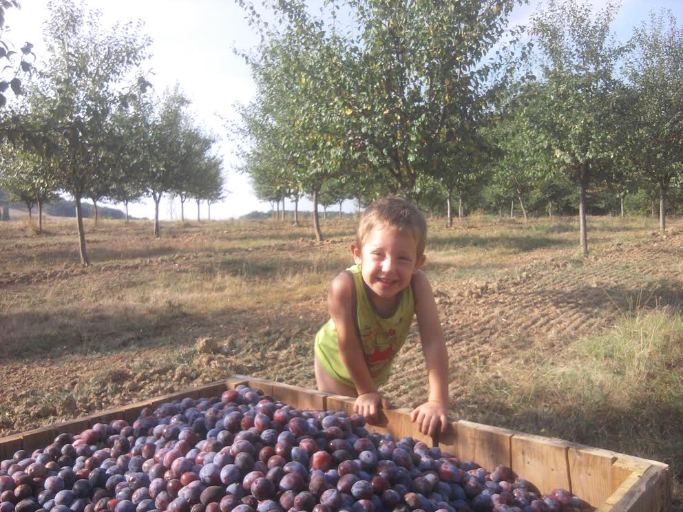 La Ferme de Monredon