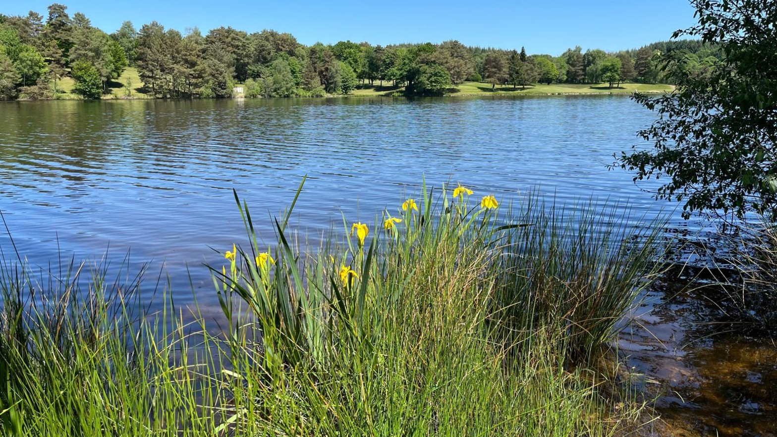 Parcours nature du Coiroux, Aubazines - photo 2