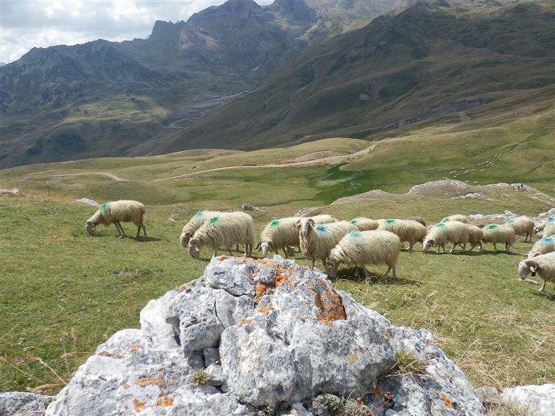 Le col de Peyrelue 