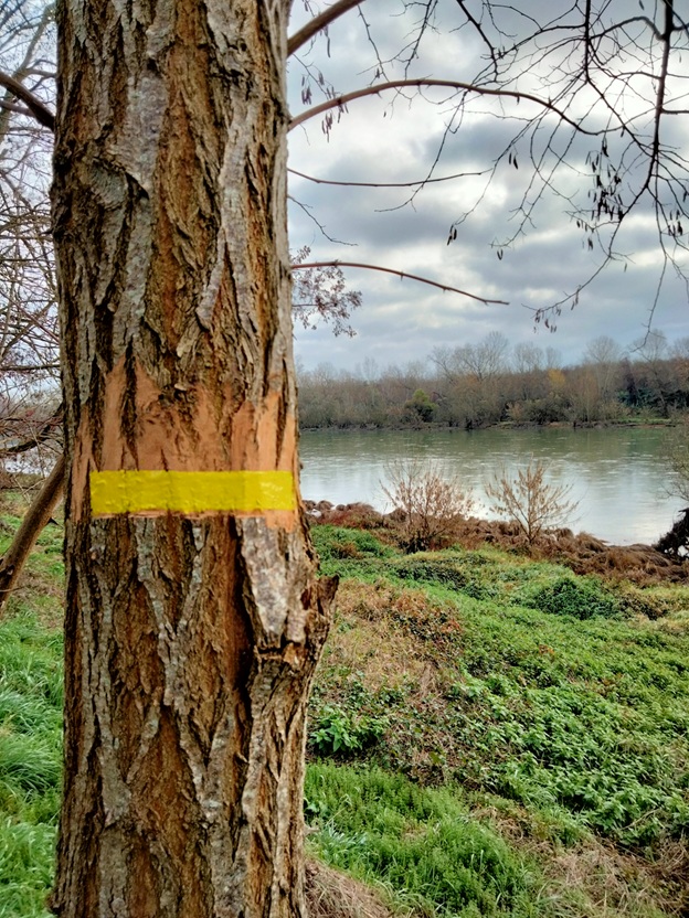 Colayrac-Saint-Cirq, une balade au fil de Garonne, Colayrac-Saint-Cirq - photo 3