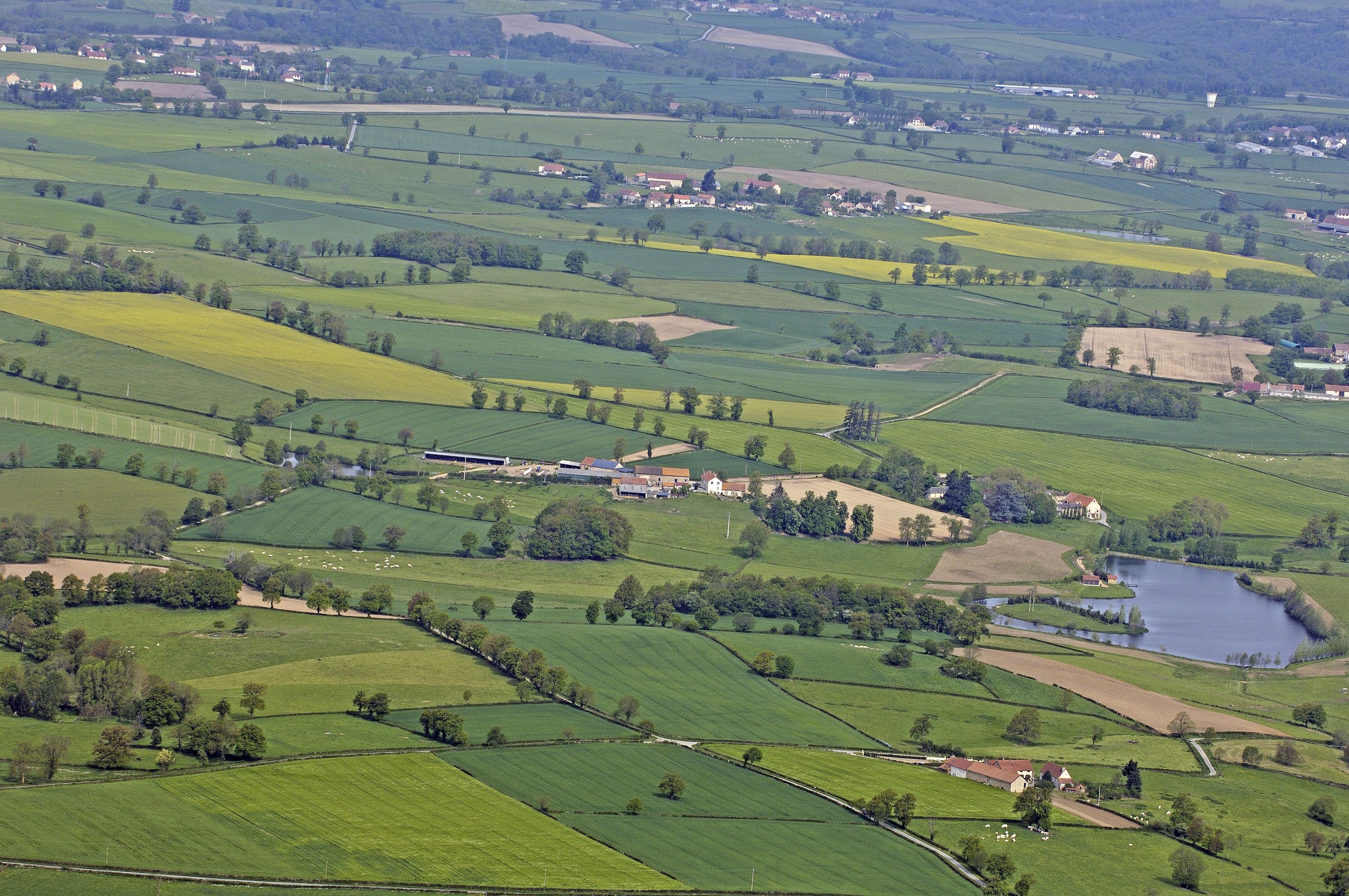 Le sentier de la Brande de Landes