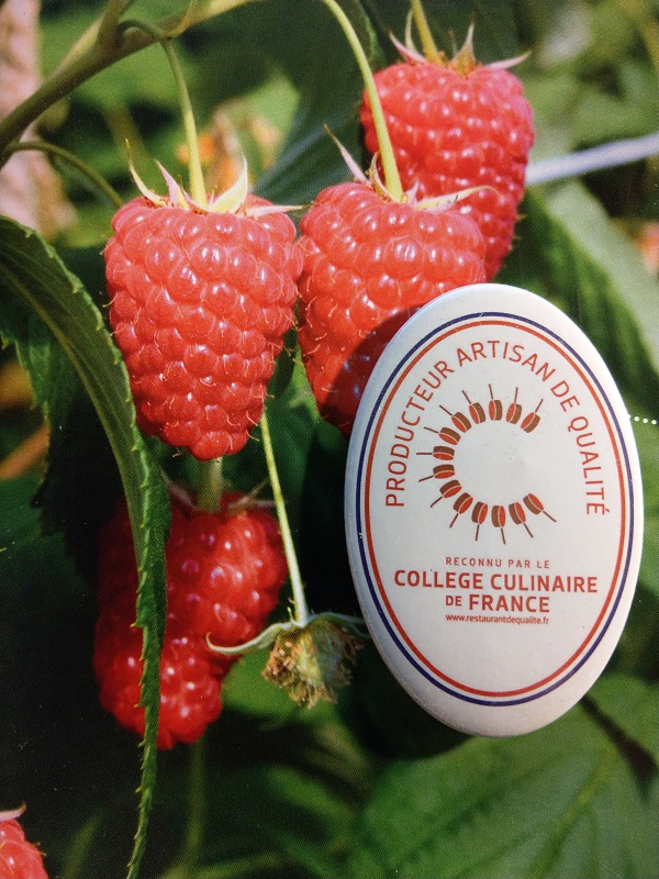 Les Framboises du Tursan - photo 2