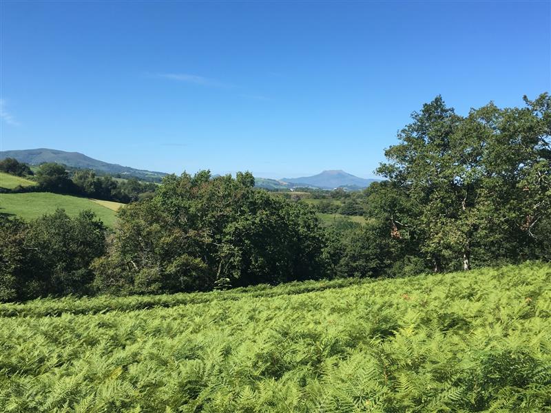 Colline de la Bergerie en écomobilité