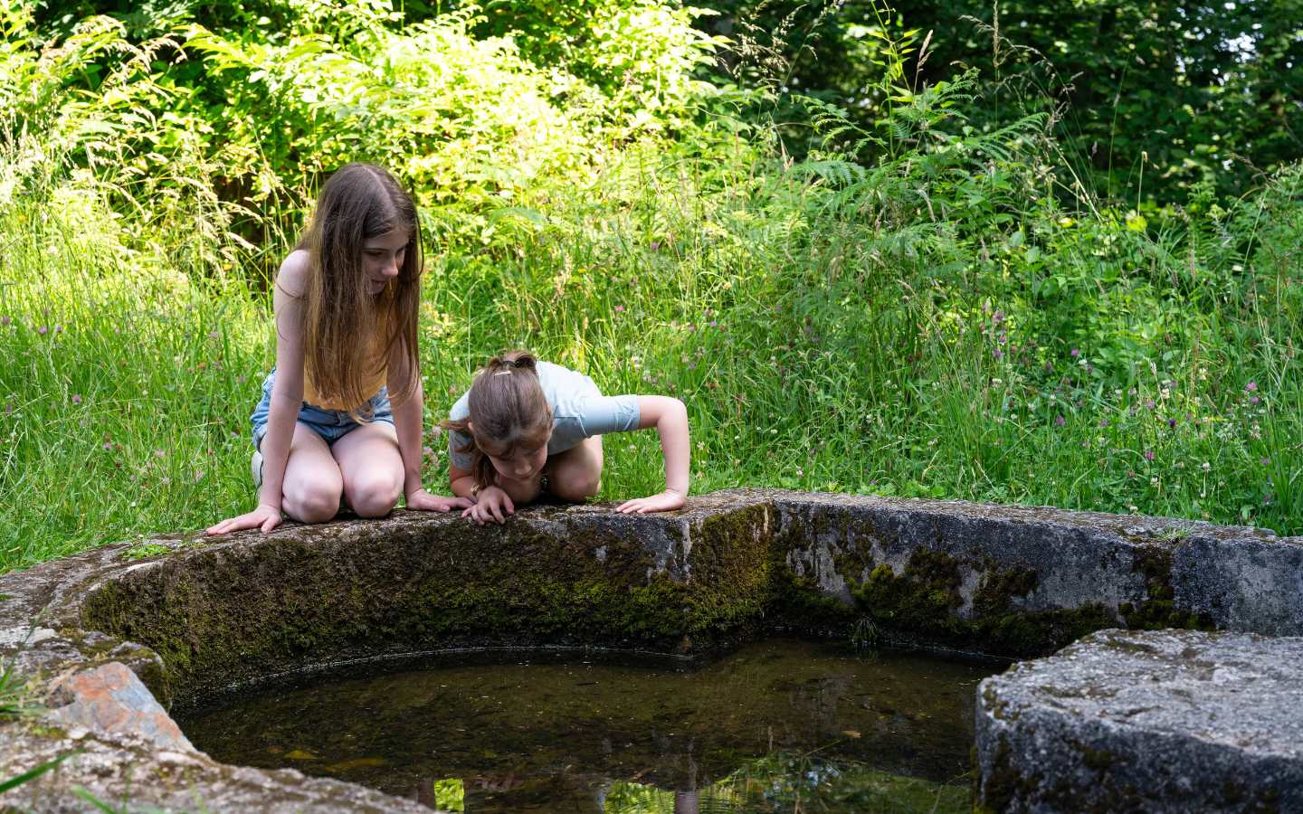 Parcours Tèrra Aventura : "Aux cîmes de la Bergerie" - photo 4