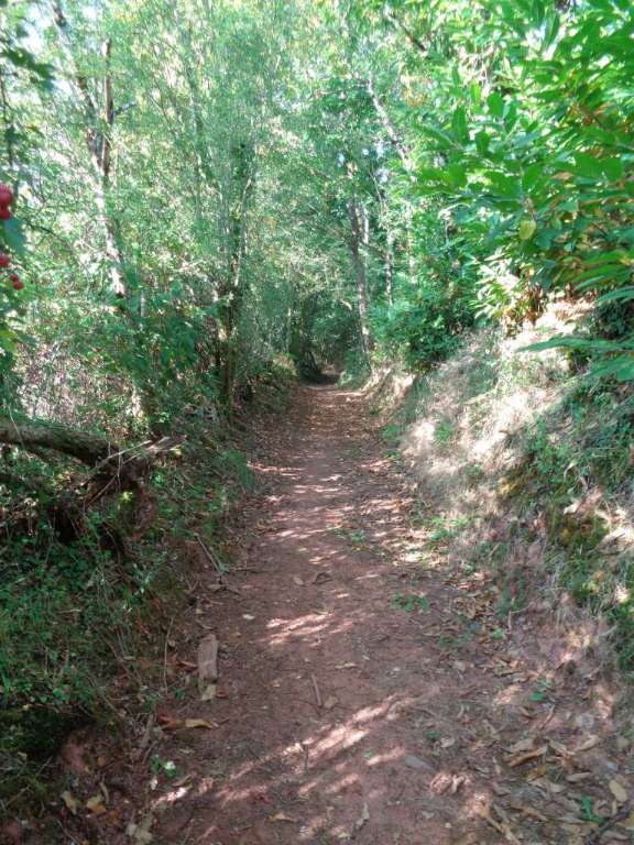 La Chaise du diable - VTT — photo 2