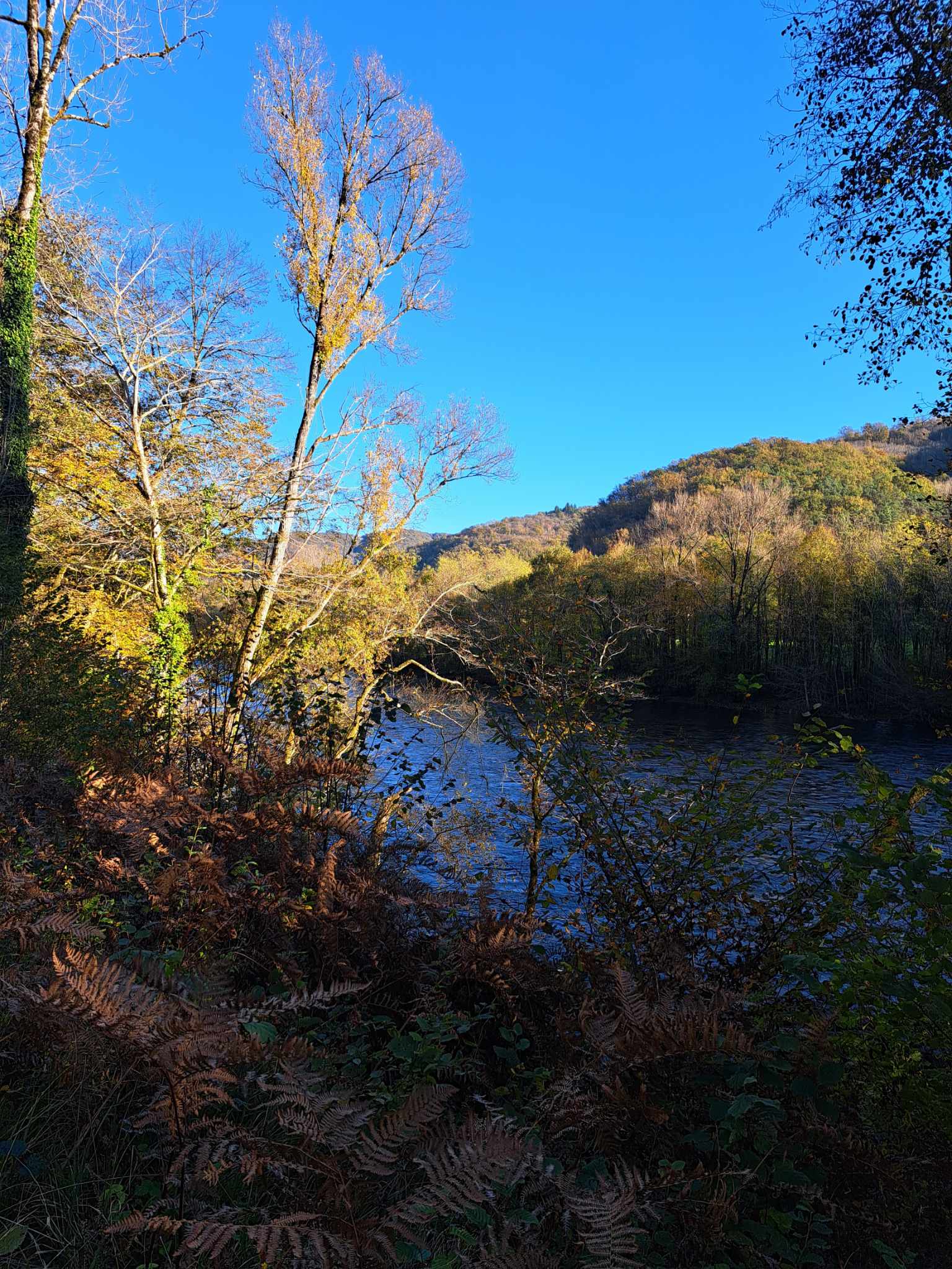 Combejean — photo 2