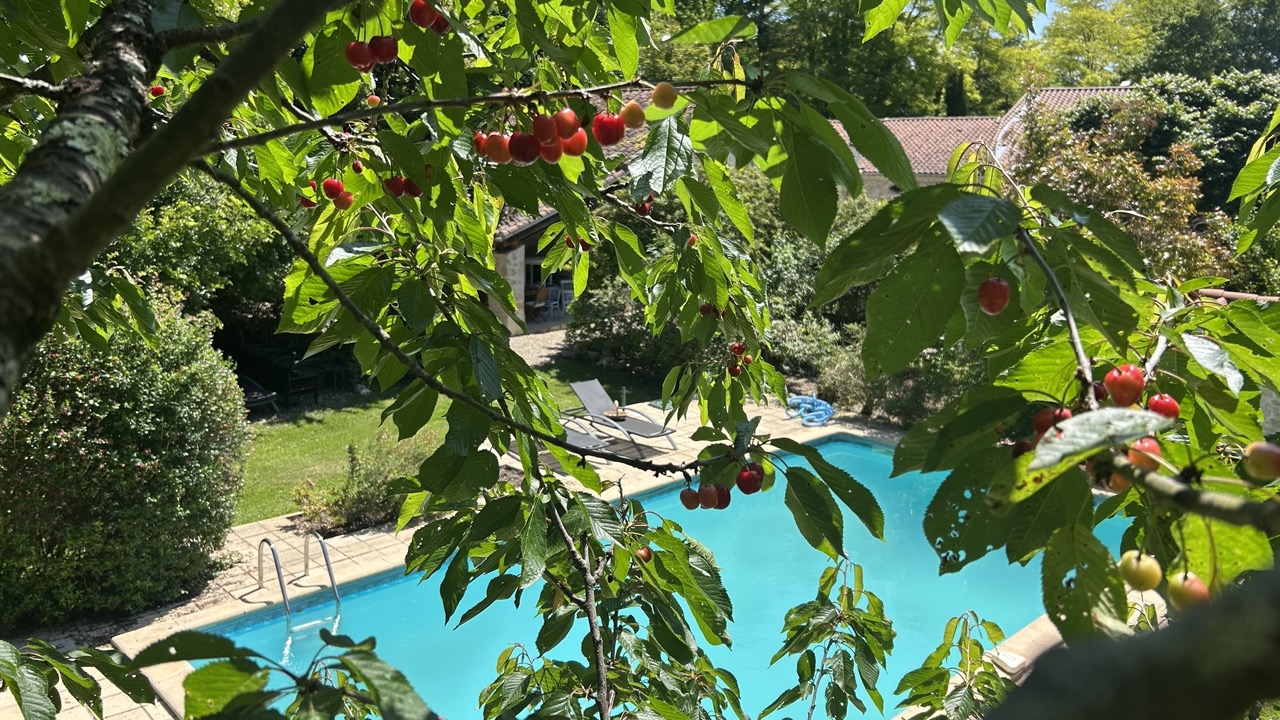 Domaine de Gargoris - la Grange - photo 2