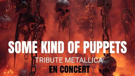 Concert : Skop