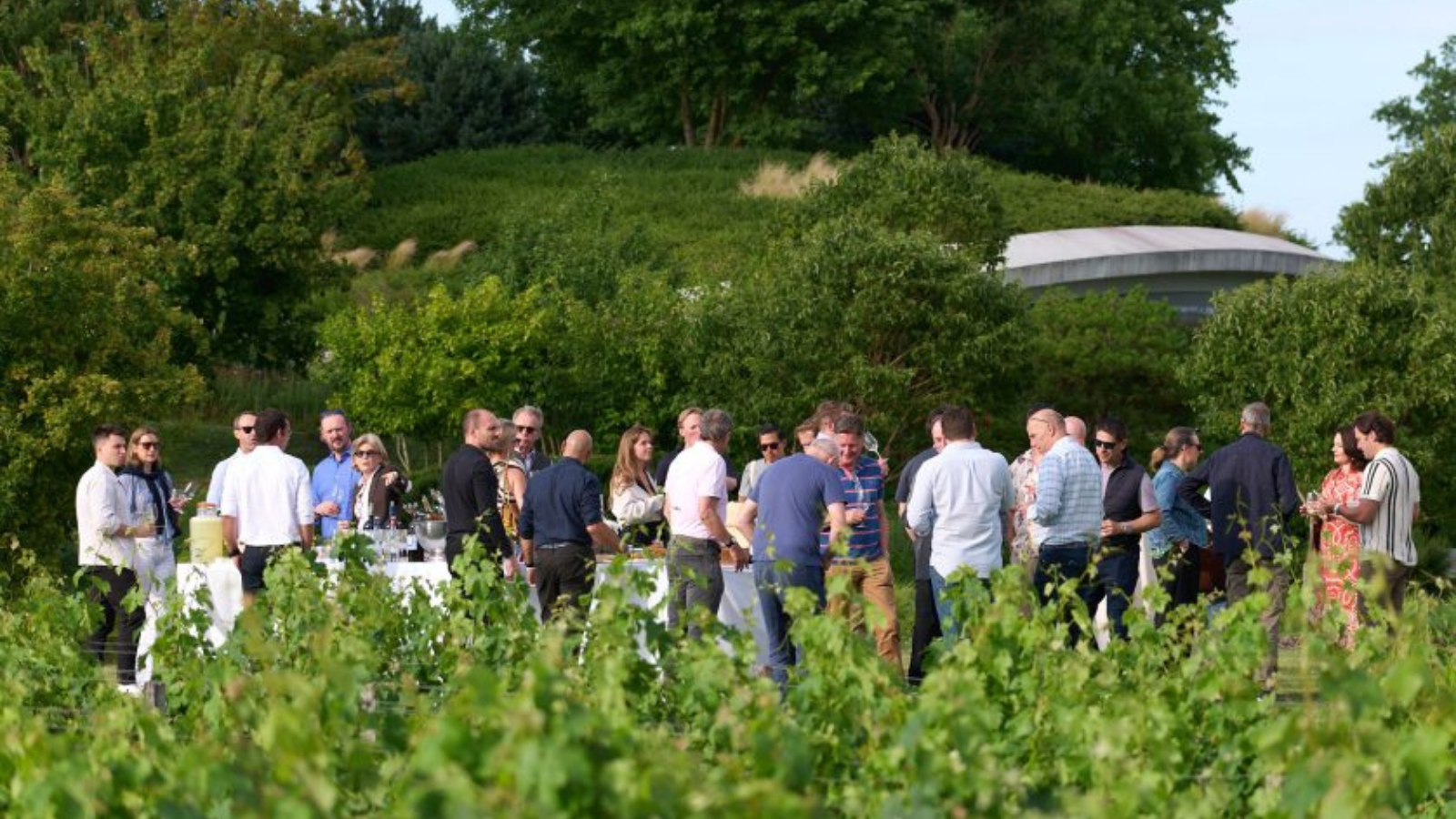 Barbecue Estival dans les Jardins du Château Haut-Bailly