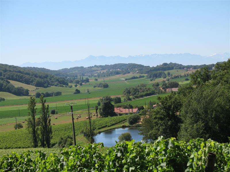 Domaine Betbeder