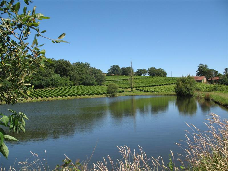 Domaine Betbeder