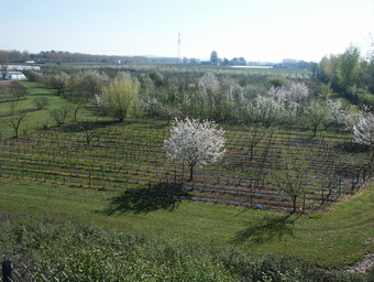 Domaine Agroécologique de Barolle, Montesquieu