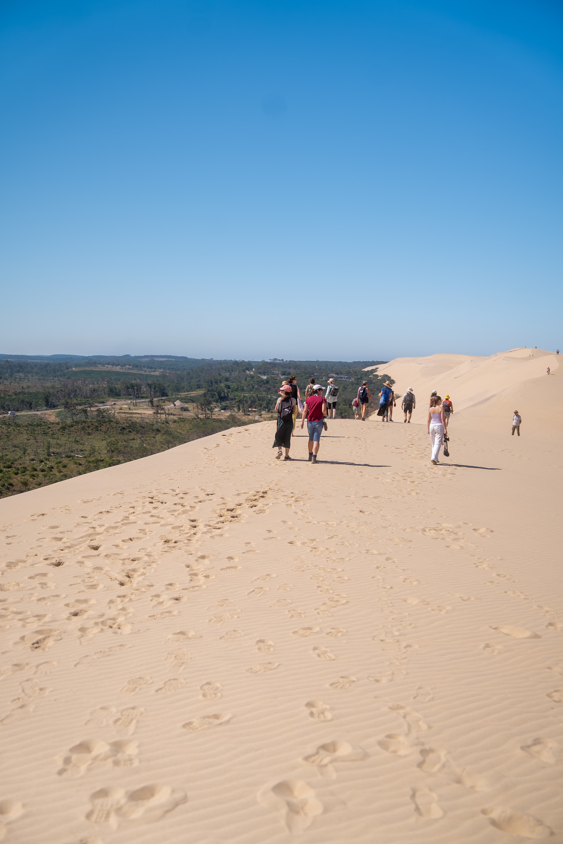 Randonnée sur la crête de la Dune du Pilat