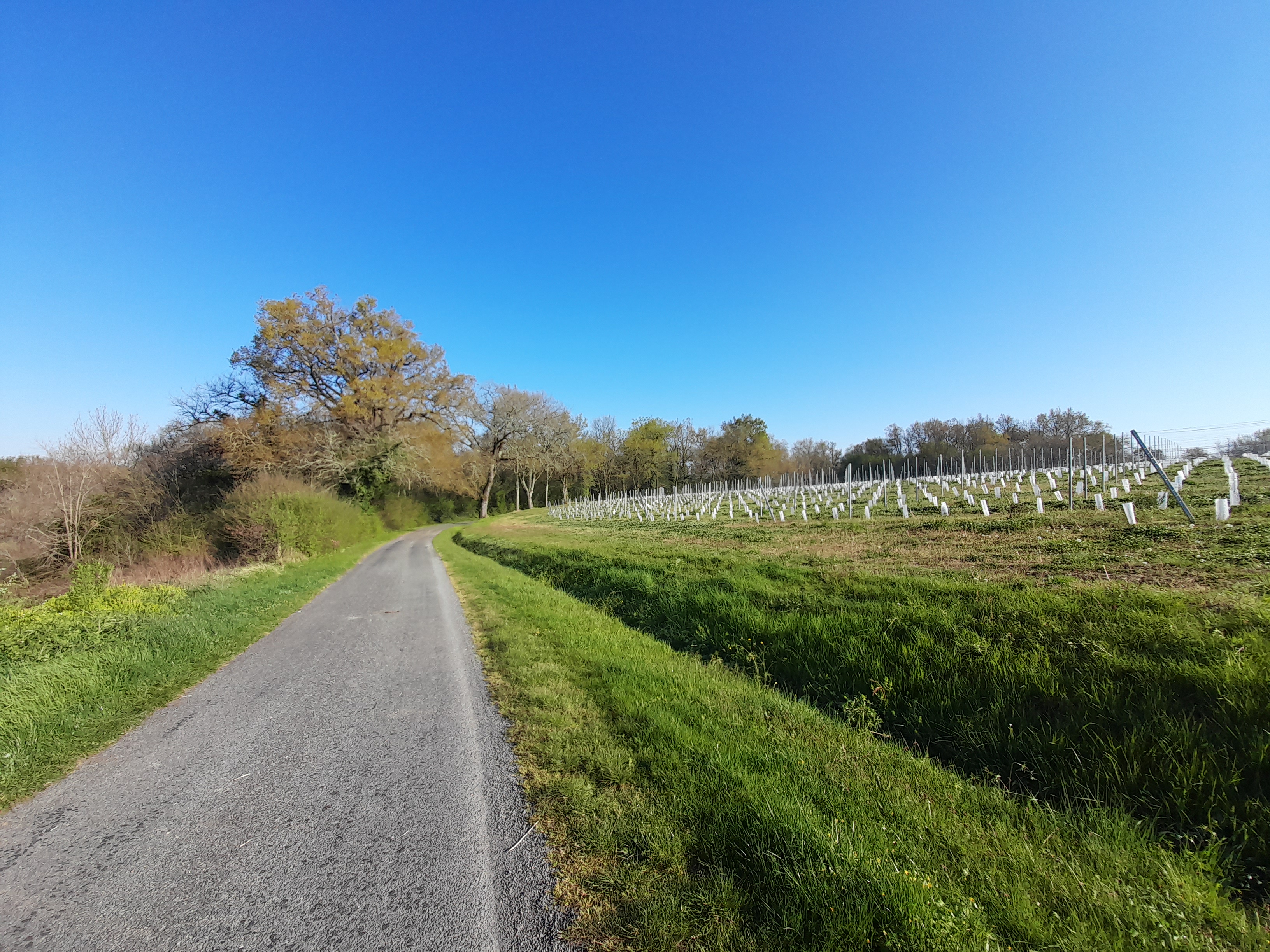 Boucle du Moulin, Périssac - photo 4