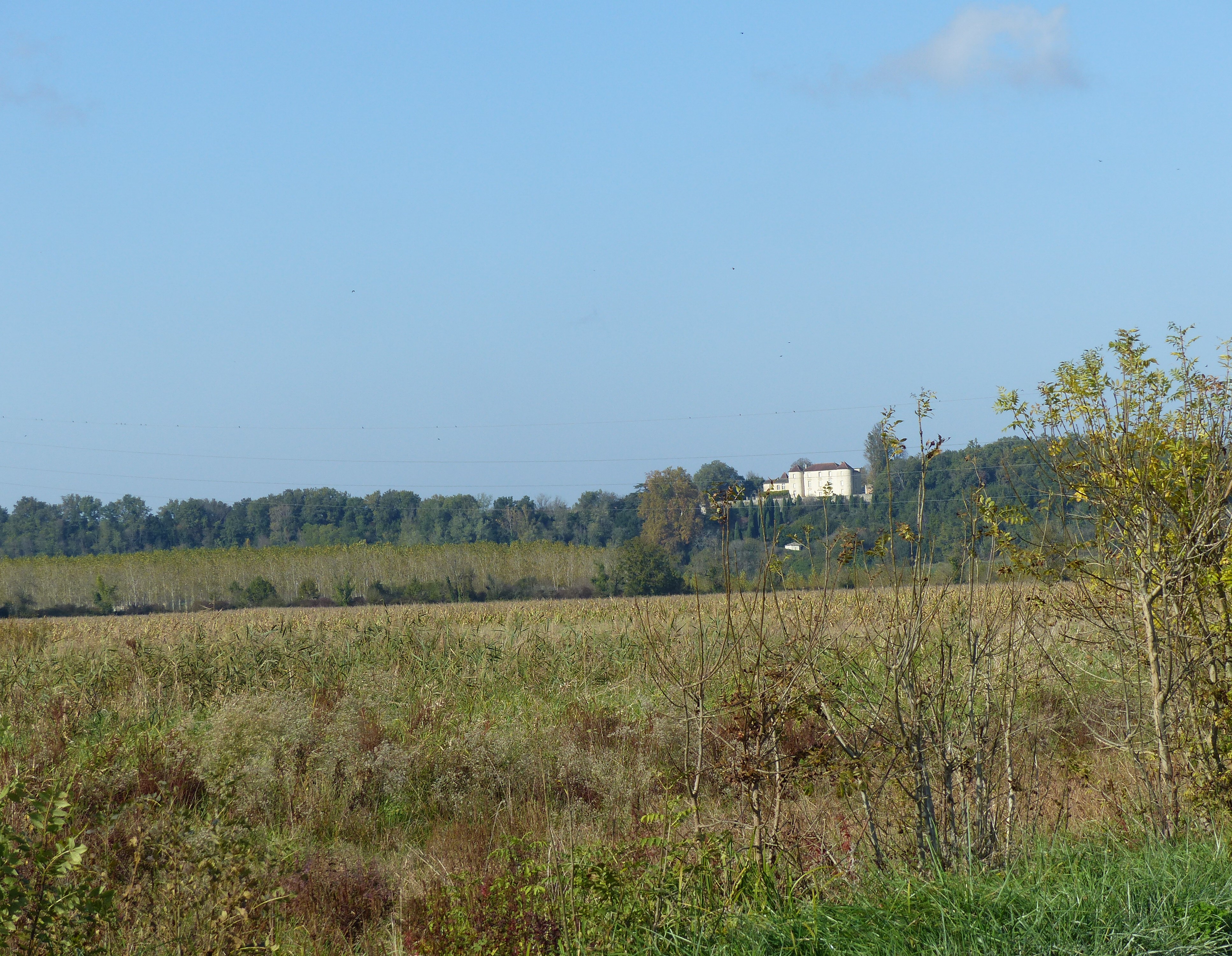 Boucle du Petit Chartron, Saint-Germain-de-la-Rivière - photo 4