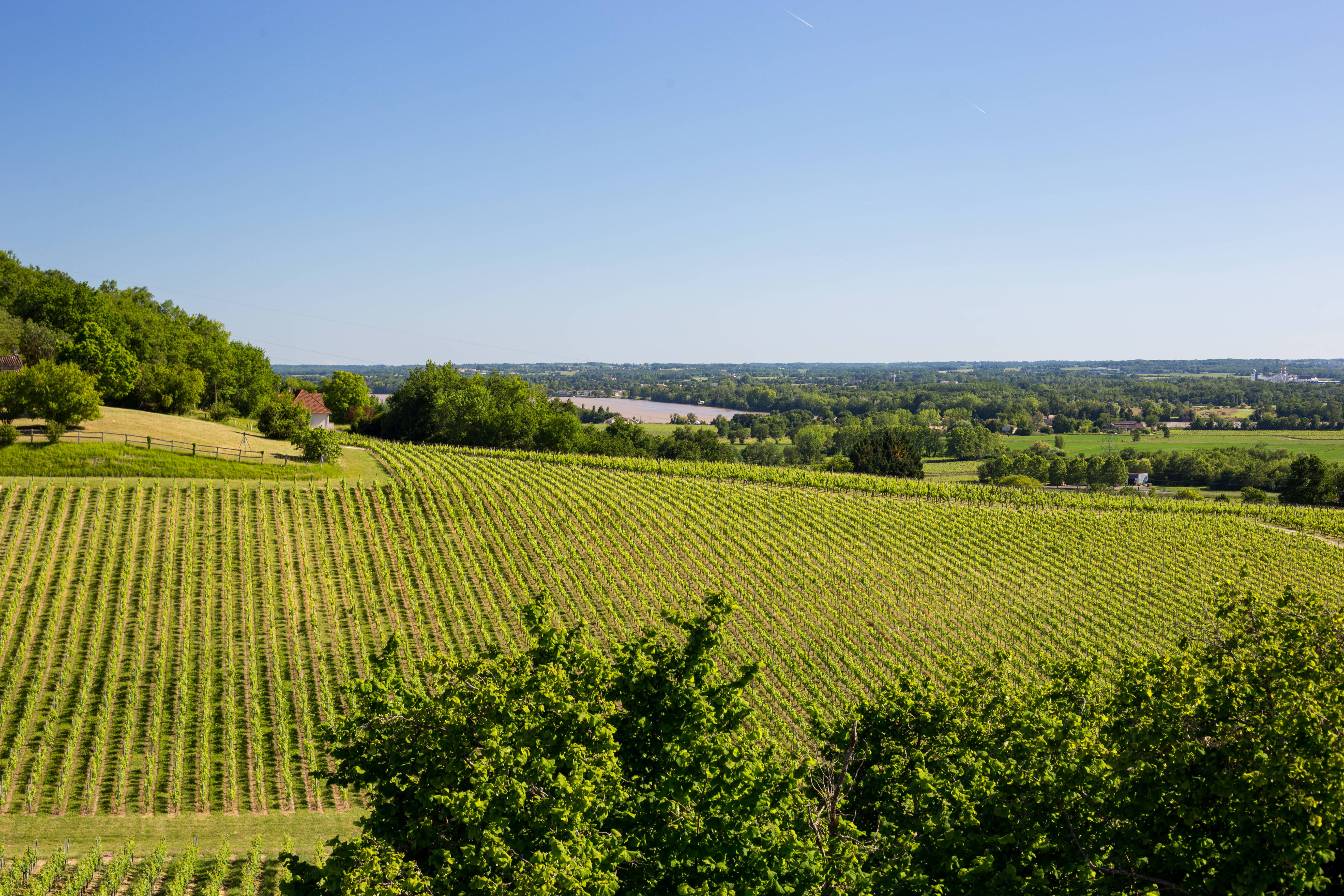 Boucle de La Rivière, La Rivière - photo 4