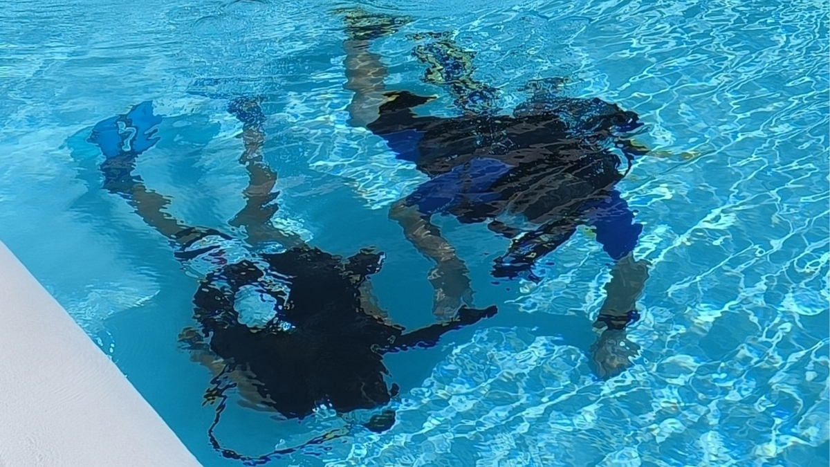 Été Actif : baptême de plongée sous-marine avec bouteille