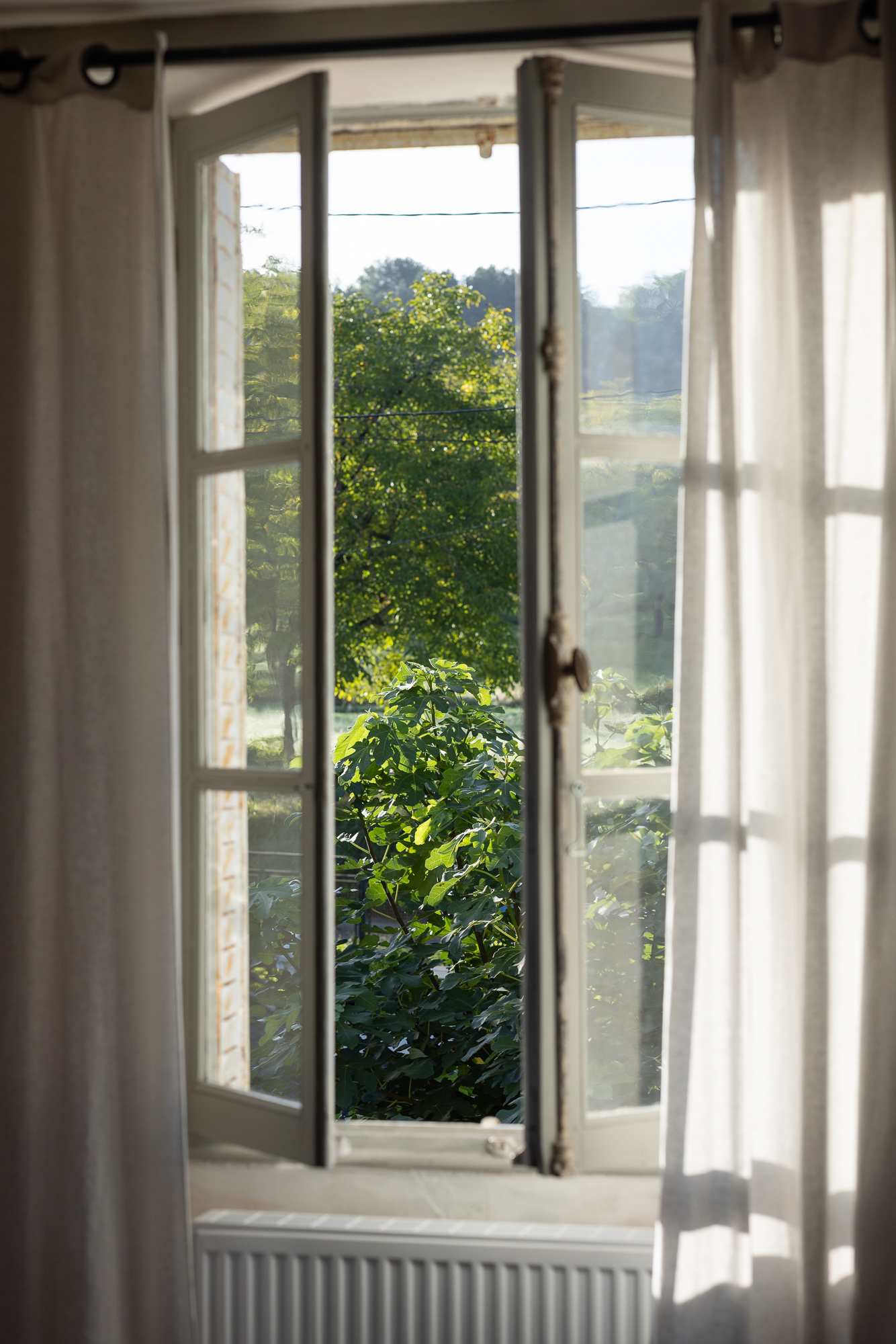 Le Mas d'Ayen-N°14 - photo 4