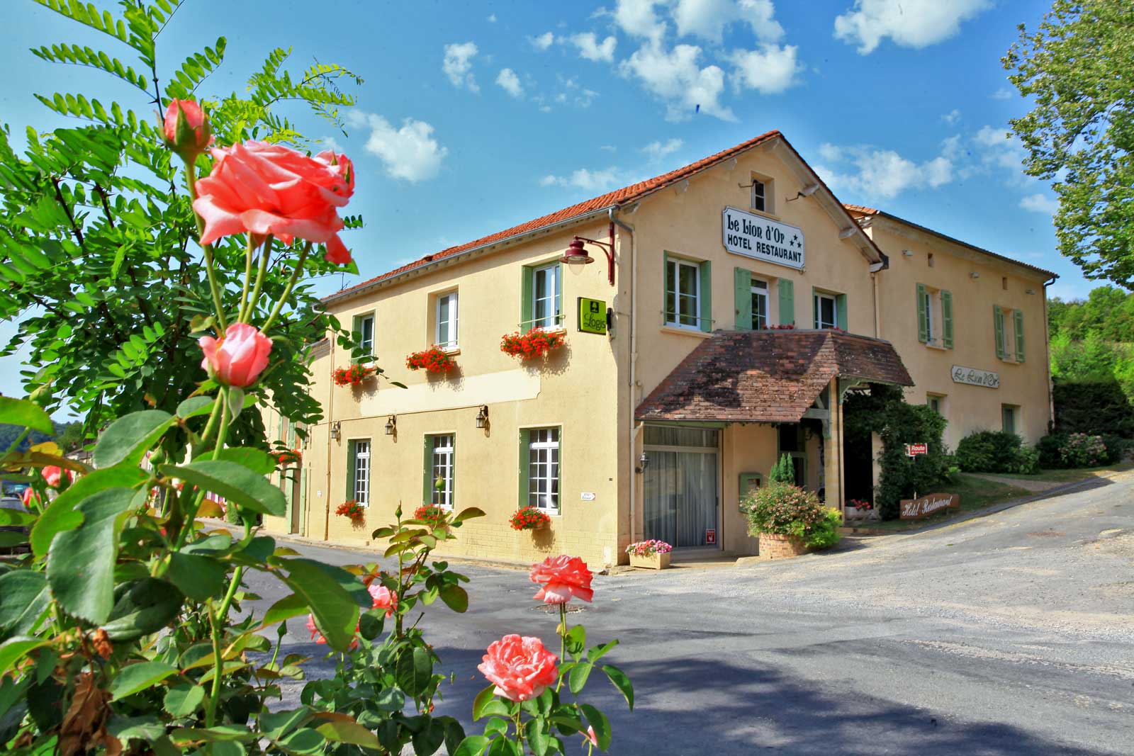 Hôtel-restaurant Le Lion d'Or, Manzac-sur-Vern - photo 7