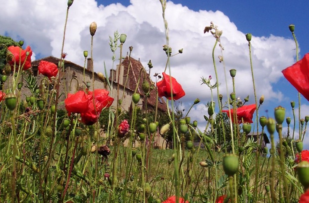 Ferme de Tandou, Gaugeac - photo 9