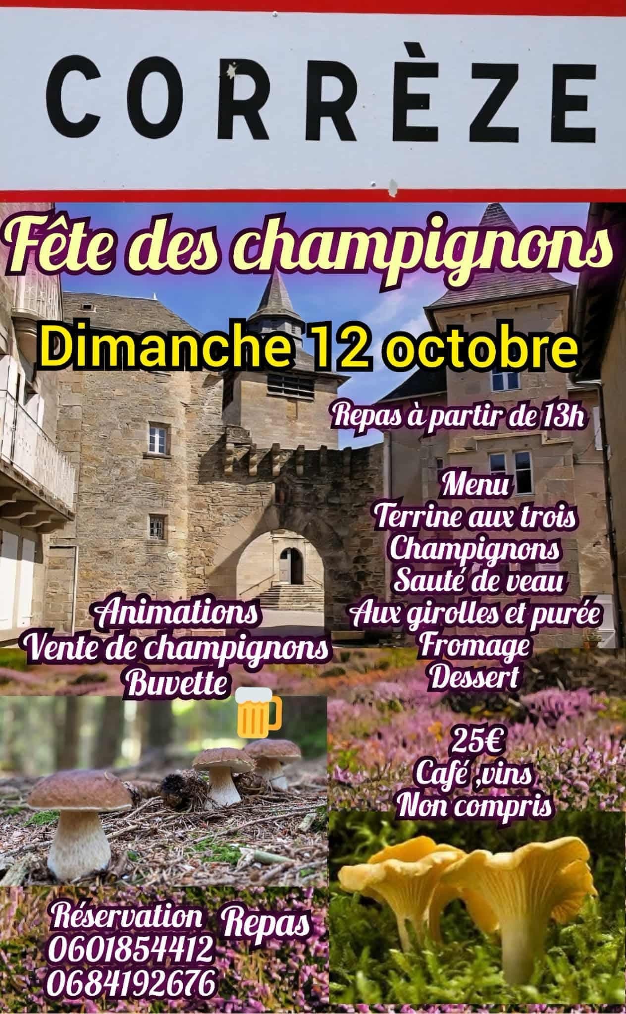 Fête des Champignons — visuel événement
