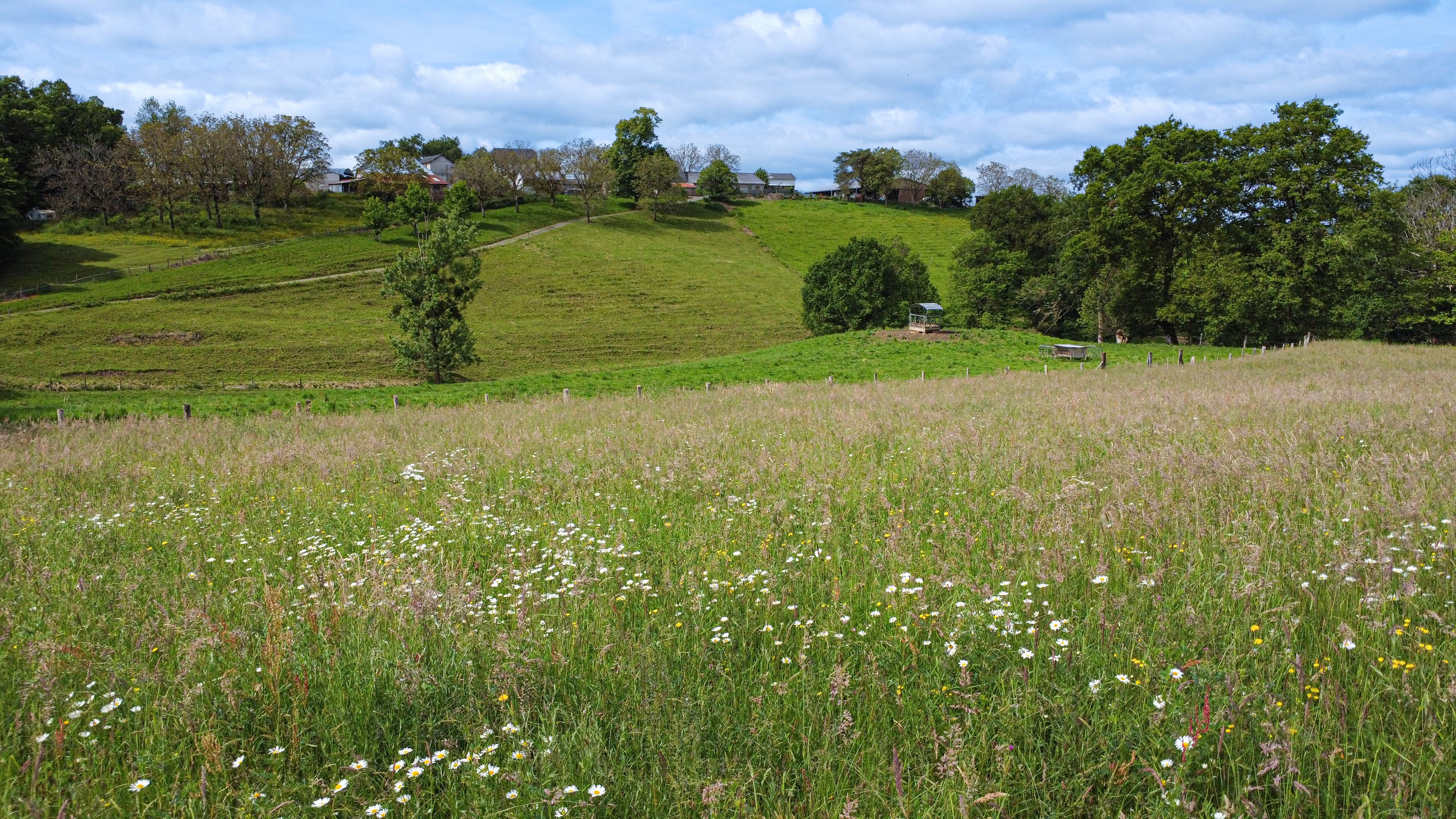 GR®46 - Etape 4 : de Chamboulive à Uzerche, Chamboulive - photo 3