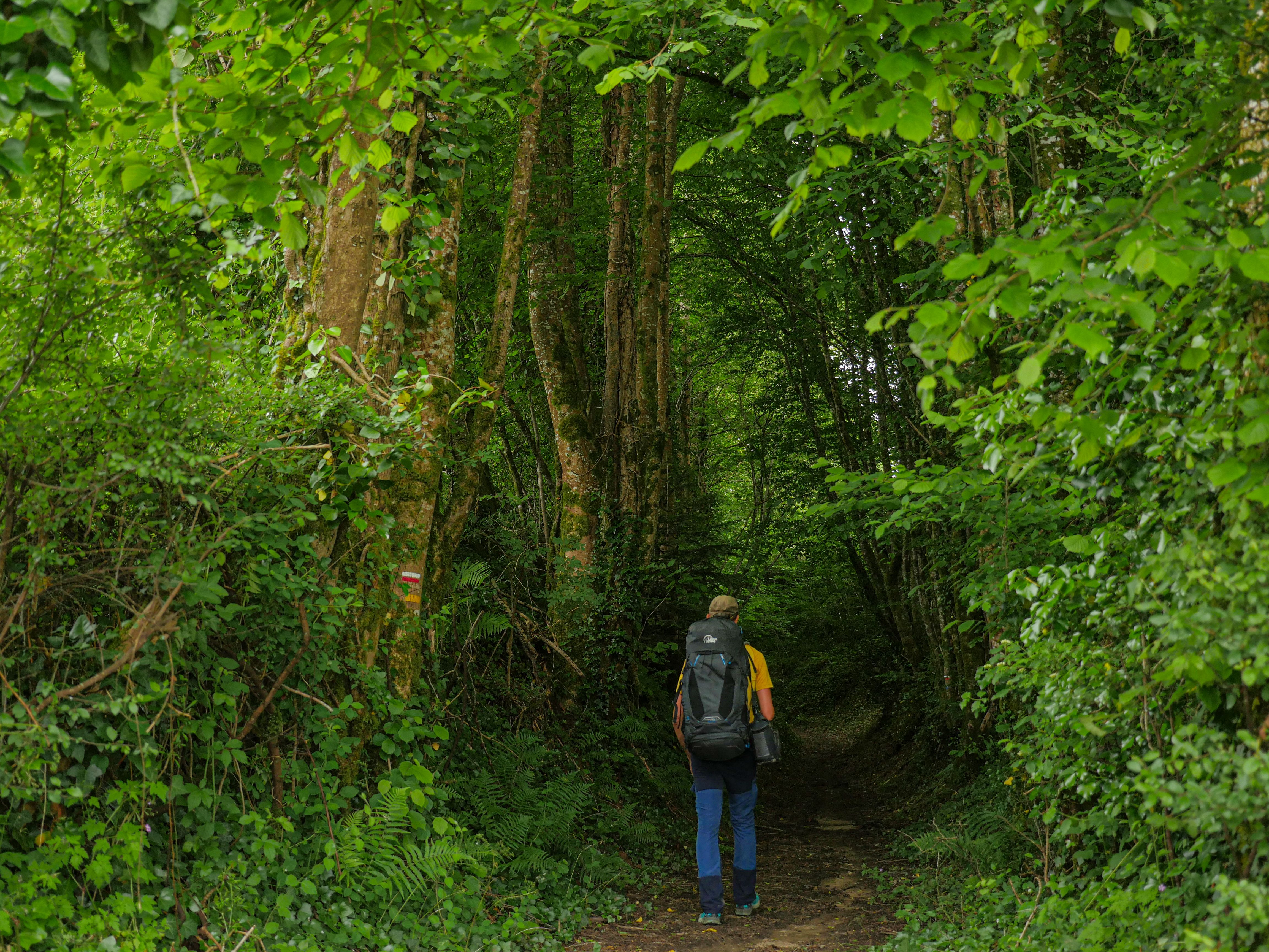 GR®46 - Etape 6 : de Vigeois à Estivaux, Vigeois